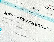 【薫る花は凛と咲く】第8話 感想 感謝の水族館デート！